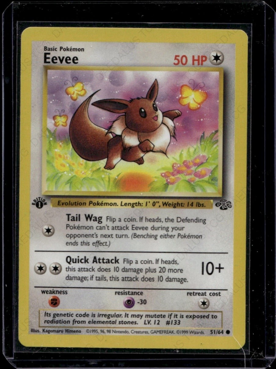 Eevee 1st Edition Common Jungle 51/64 NM