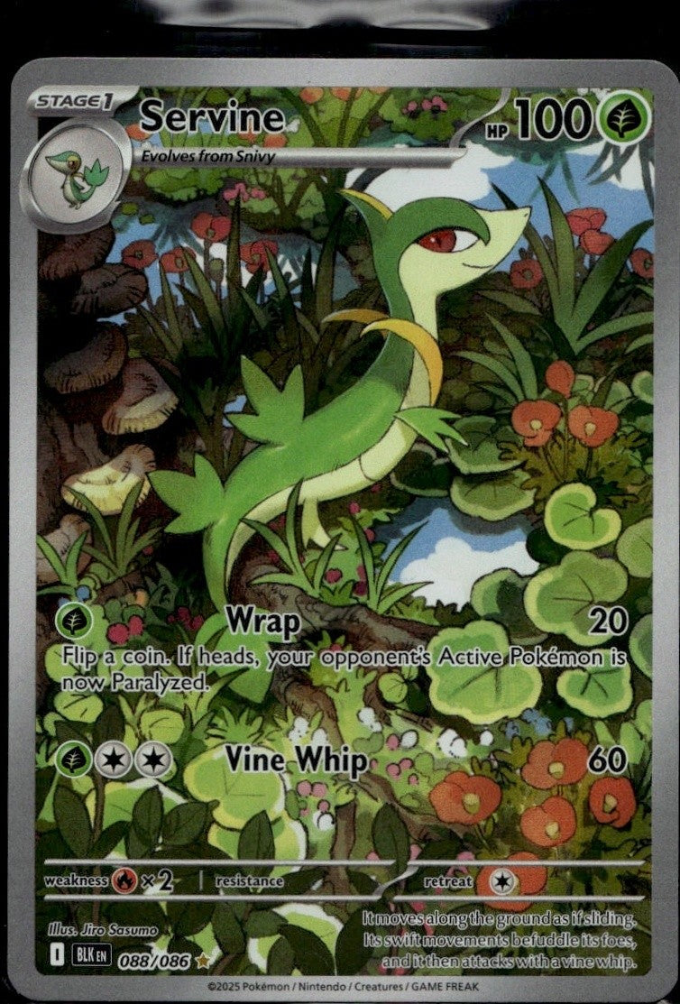 Servine - 088/086 Holofoil 088/086 NM