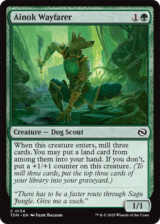 Ainok Wayfarer — Tarkir: Dragonstorm