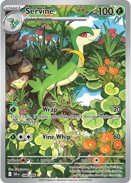Servine - 088/086 — SV: Black Bolt