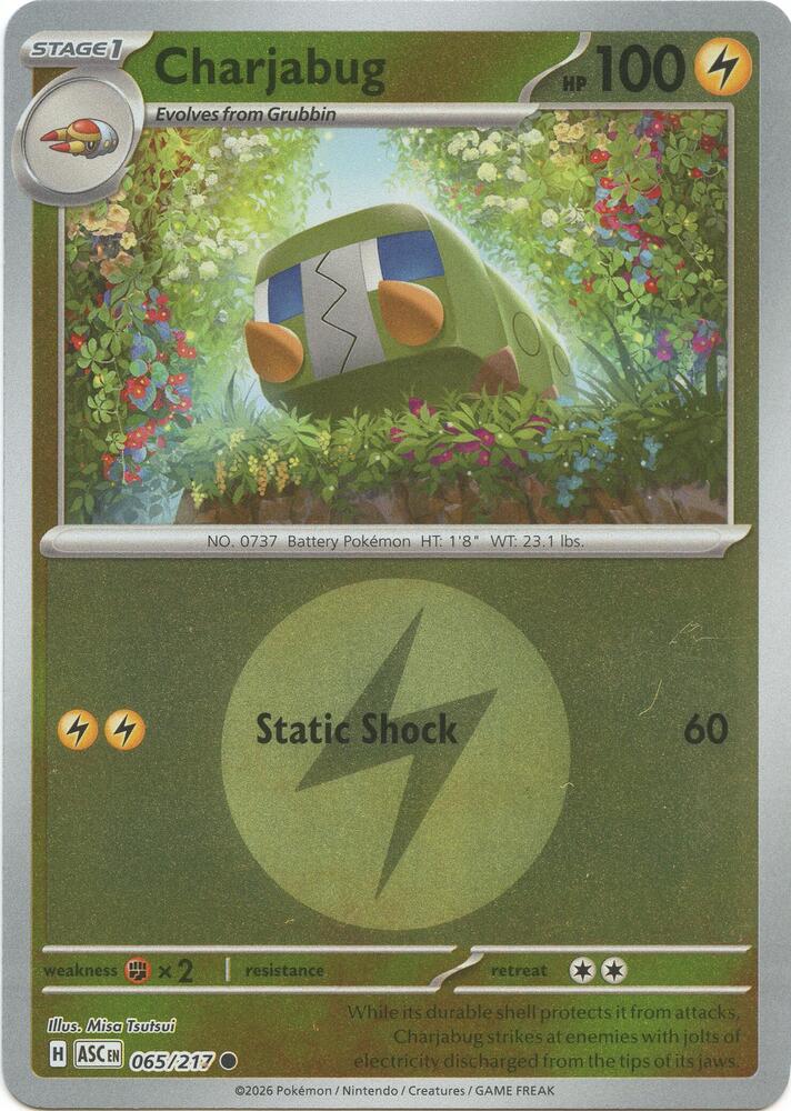 Charjabug (Energy Symbol Pattern) — ME: Ascended Heroes