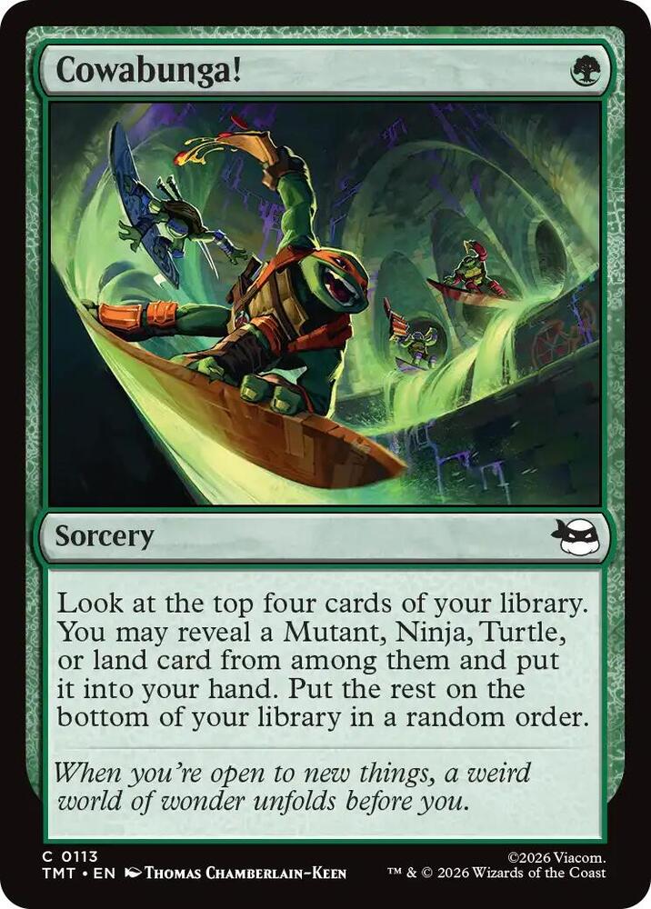 Cowabunga! — Teenage Mutant Ninja Turtles