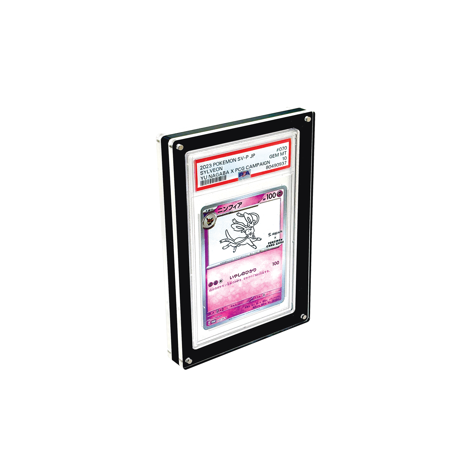 Magnetic PSA Card Display