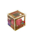 Acrylic Display Case for One Piece Devil Fruits DF-03