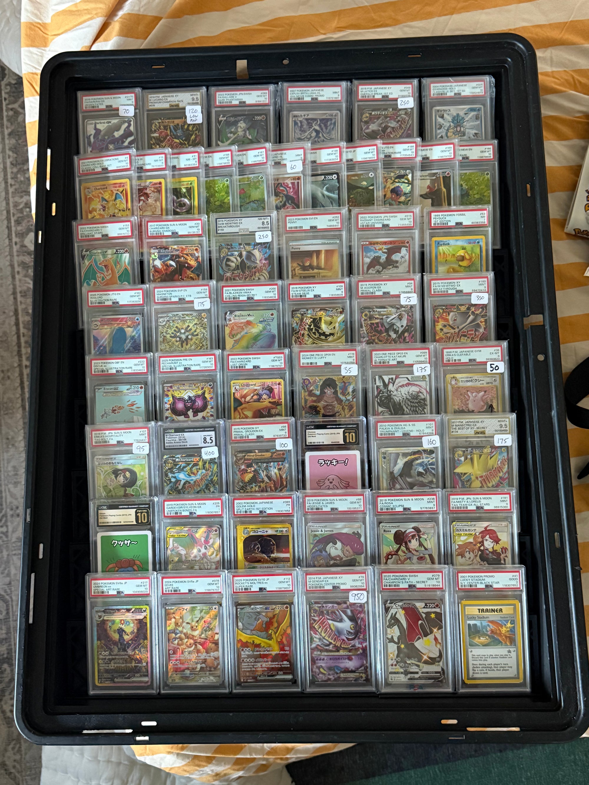 Card Display Stands – Maximize Your Showcase